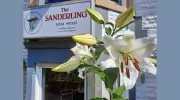 The Sanderling