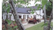 Brown Trout Inn
