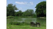 Bellows Mill
