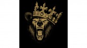 Crazy Bear