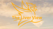 The Liver View Hotel